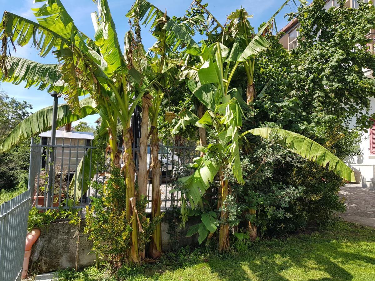 Vila Casa Luigina Vezzola Exteriér fotografie