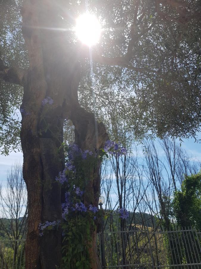 Vila Casa Luigina Vezzola Exteriér fotografie