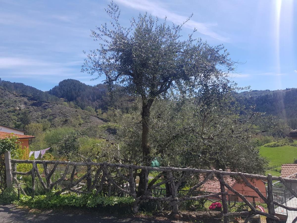 Vila Casa Luigina Vezzola Exteriér fotografie
